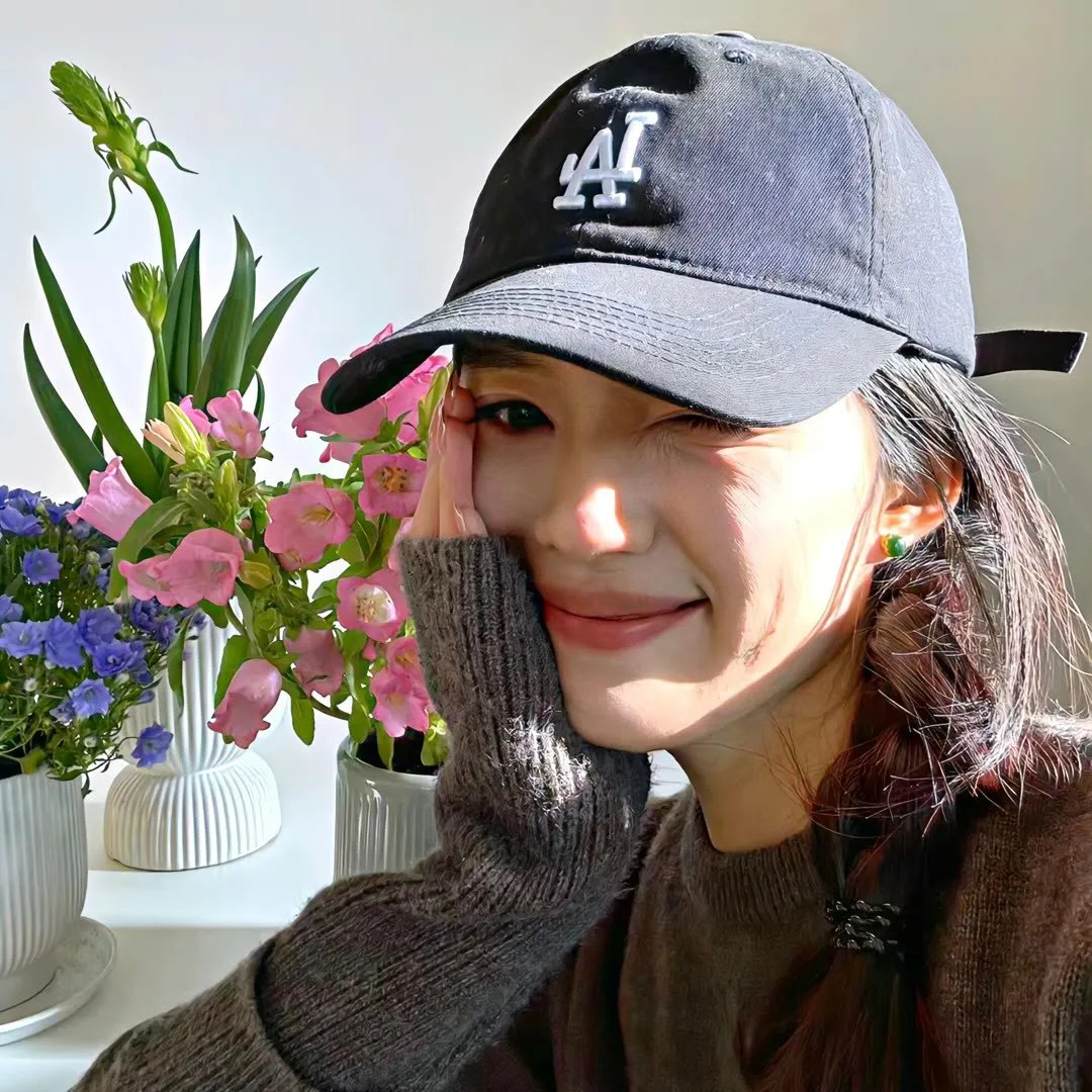 小迪克西